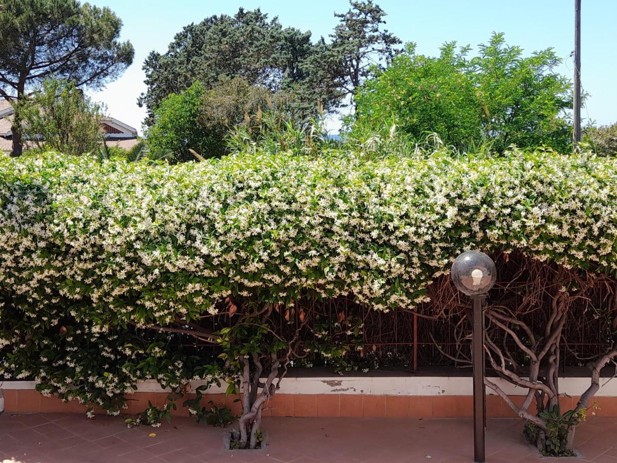 Guest House Al Mare Civitavecchia Bagian luar foto