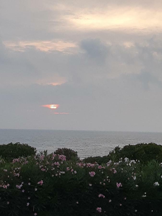 Guest House Al Mare Civitavecchia Bagian luar foto